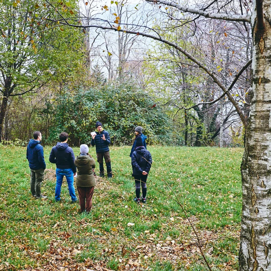 Hiking-experience-in-the-Bellagio-mountain-woods