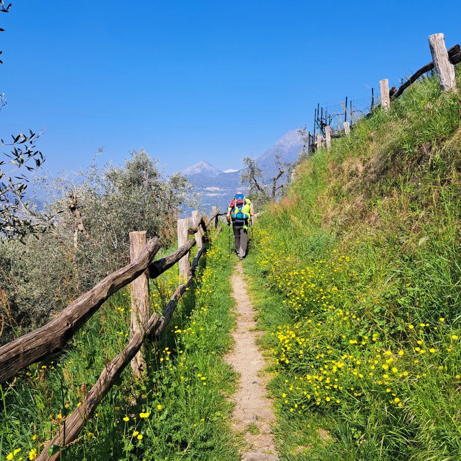 Percorso del sentiero del viandante con vista sul lago di Como e le sue montagne