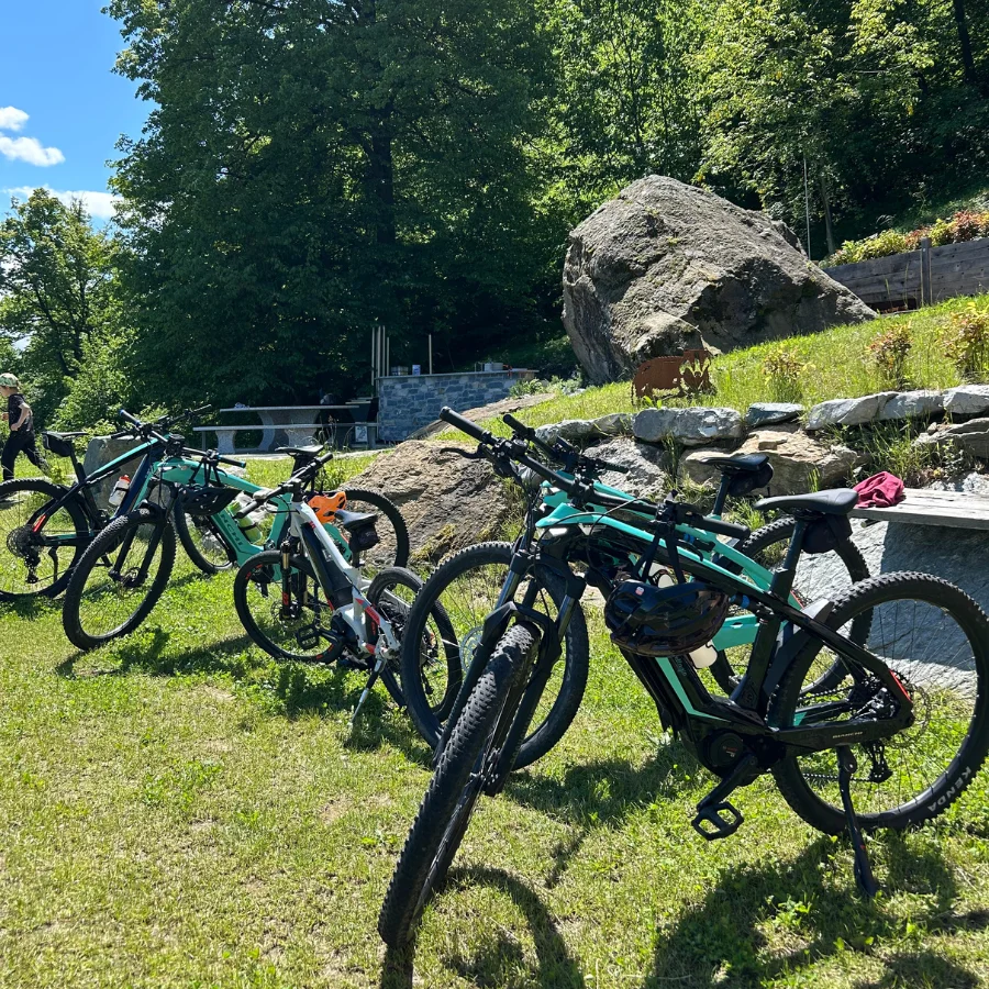 Ebike-from-BikeIt-Bellagio-Rental