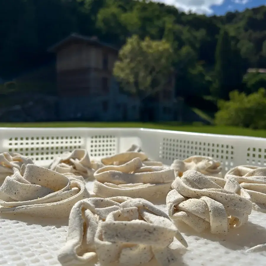homemade-tagliatelle-bellagio-lake-como-cooking-lesson