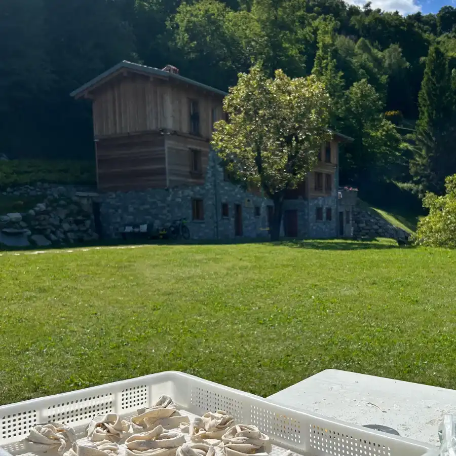 pasta-drying-tray-garden-cooking-class-bellagio-lake-como