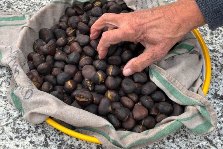 Mano appoggiata su una ciotola di caldarroste