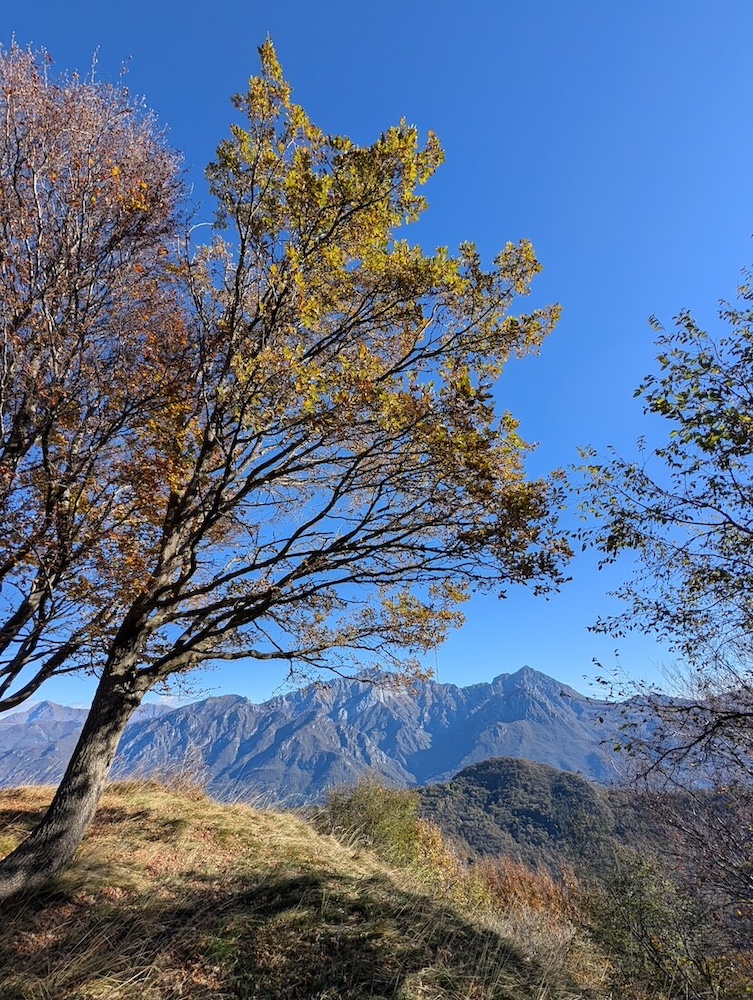 alberi e montagne in pieno foliage sulle montagne del lago di Como