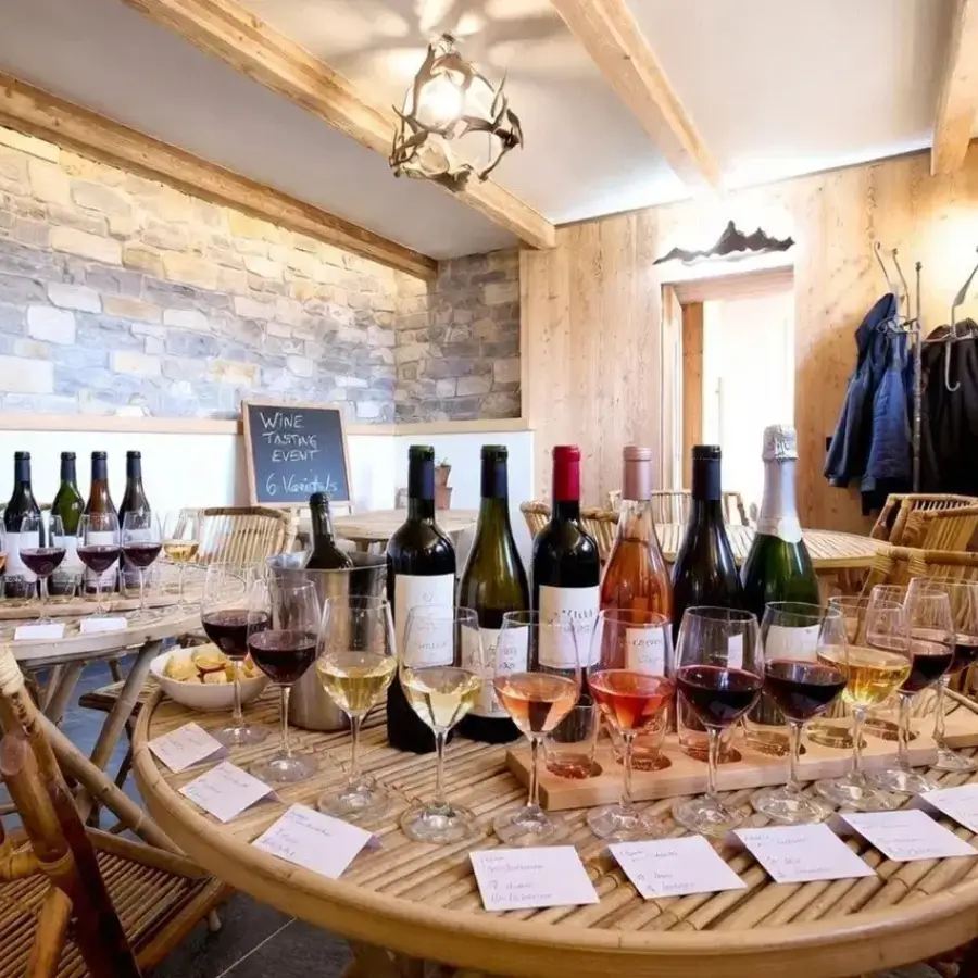 Wine-tasting-experience-Bellagio-Lake-Como