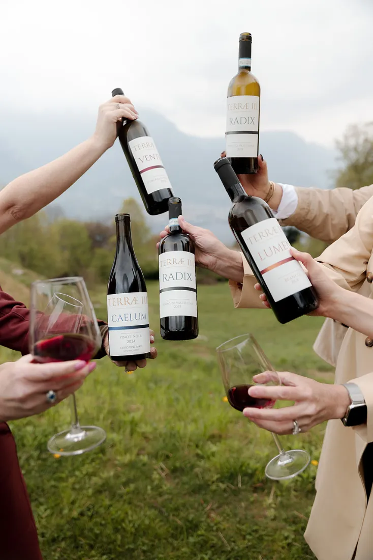 Italian wine selection for wine experience in Bellagio