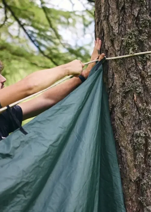 natural-shelter-techniques-baita-treeb.webp